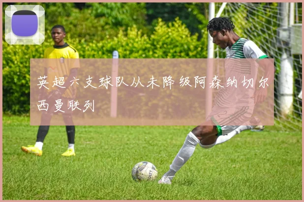 英超六支球队从未降级阿森纳切尔西曼联列