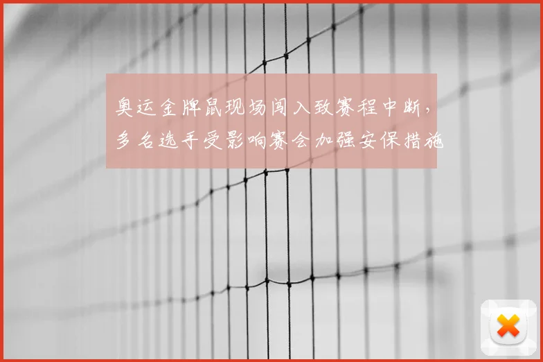 奥运金牌鼠现场闯入致赛程中断，多名选手受影响赛会加强安保措施