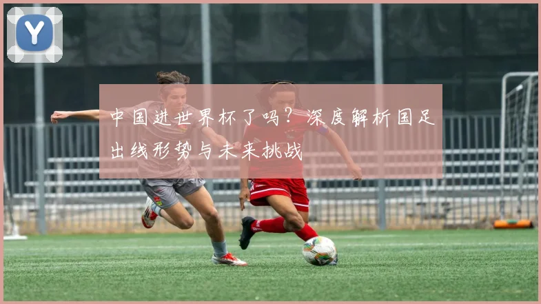 中国进世界杯了吗？深度解析国足出线形势与未来挑战