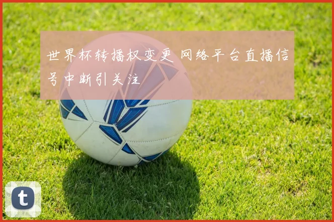 世界杯转播权变更 网络平台直播信号中断引关注