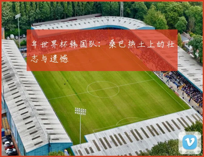 年世界杯韩国队:桑巴热土上的壮志与遗憾