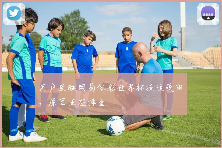 用户反映网易体彩世界杯投注受阻,原因正在排查