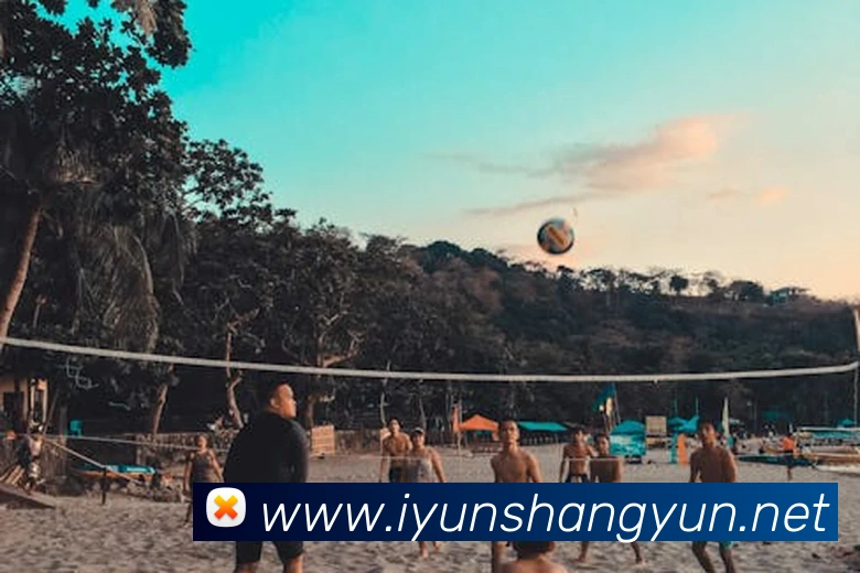 九游ag登录官网APP 封面图